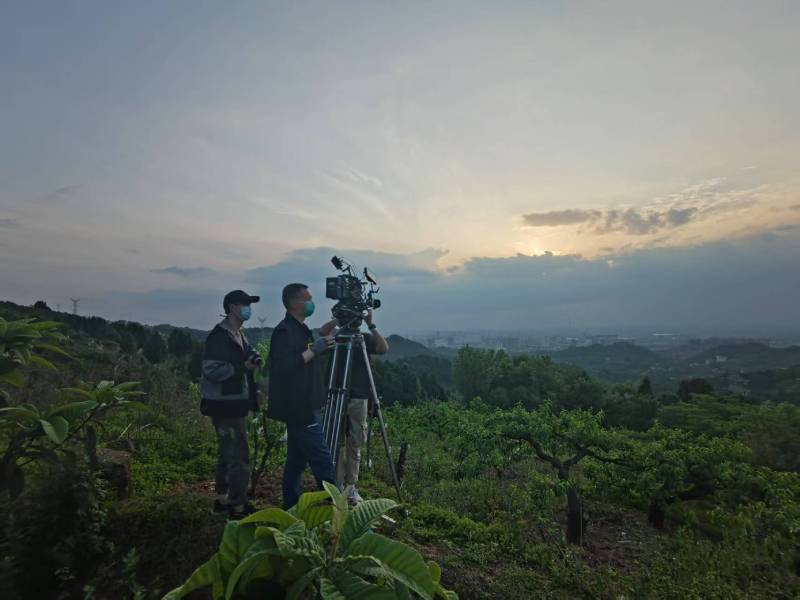 创意破圈！襄汾县电商产品宣传视频用故事化叙事引爆流量