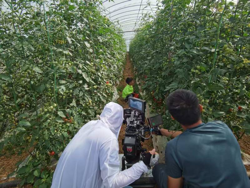 襄汾县产品宣传视频拍摄公司进阶指南，助力品牌抢占传播高地